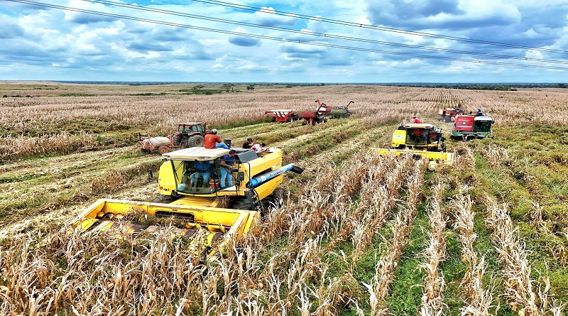 Guárico impulsa tecnología para fortalecer la producción de maíz