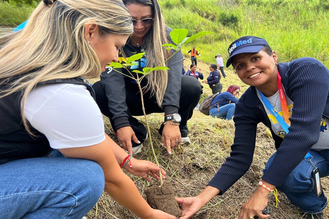 Turismo y ecosistema se unen para sembrar vida en Caracas